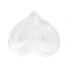 Lalique Presse Papiers Cours Entrel Transparente - Envío Gratuito