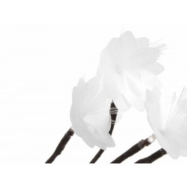 Running Árbol Optical Chico - Envío Gratuito