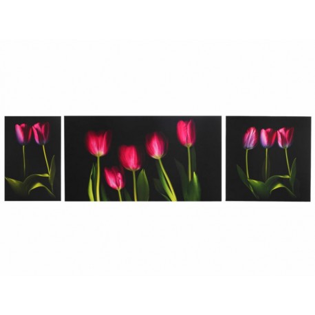 Múltiples Tulipanes Pintura Moderna - Envío Gratuito