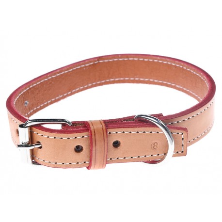 Mundican Collar Liso para Perro Piel - Envío Gratuito