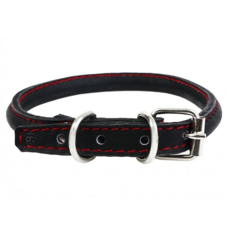 Christian Dog Collar Mediano T-6 50 para Perro - Envío Gratuito