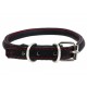 Christian Dog Collar Extra Grande para Perro - Envío Gratuito