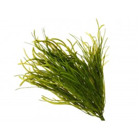 Haus Pasto Piner Verde - Envío Gratuito