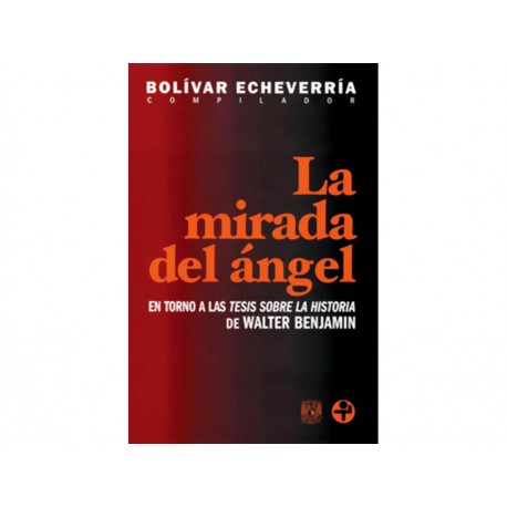 La Mirada del Ángel - Envío Gratuito