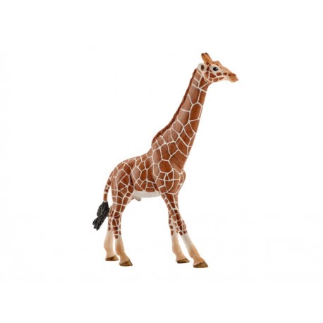 Schleich Figura Camcom de Jirafa - Envío Gratuito