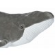 Peluche Wild Republic Cuddlekins Ballena Jorobada - Envío Gratuito