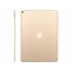 IPad Pro 10.5 Pulgadas 64 GB Oro - Envío Gratuito