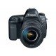 Canon Cámara Reflex EOS 5D Mark IV Body Negro - Envío Gratuito