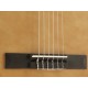 Guitarra Babilon Electroacústica BC200CEQ - Envío Gratuito