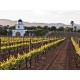 Vino rosado Uriel Adobe Guadalupe Tempranillo 750 ml - Envío Gratuito