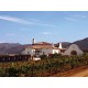 Vino Tinto Serafiel Adobe Guadalupe 750 ml - Envío Gratuito