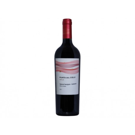 Vino Tinto Punta del Cielo 750 ml - Envío Gratuito