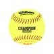 Wilson Pelota Champions Series - Envío Gratuito