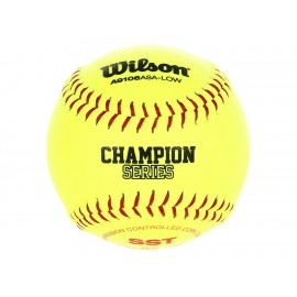 Wilson Pelota Champions Series - Envío Gratuito