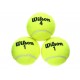 Wilson Pelotas Championship Nivel del Mar - Envío Gratuito