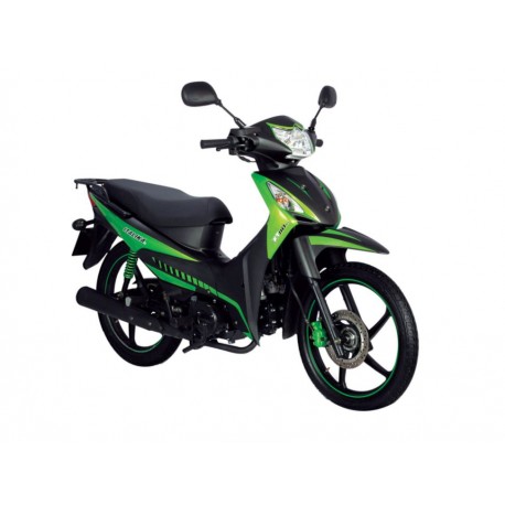 Motocicleta Italika XT 110CC RT 2017 - Envío Gratuito