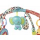 Bright Starts Gimnasio de Actividades Sunny Safari - Envío Gratuito